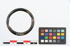 Foto von Bronzering (NHMW-PRAE-025961)